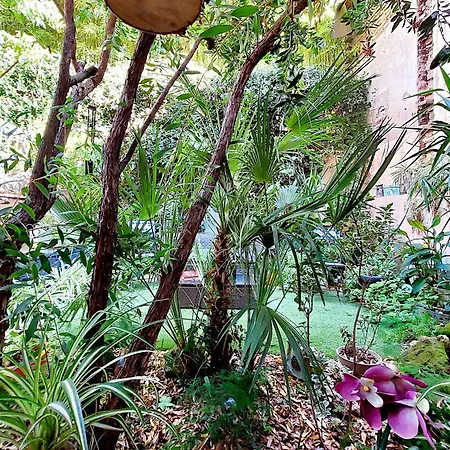 Garden Corner Pigneto Apartmán