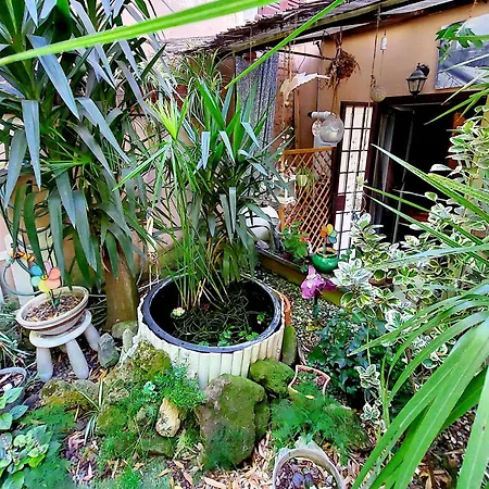 Apartmán Garden Corner Pigneto *